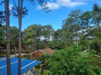  of property in Hibberdene