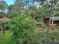  of property in Hibberdene