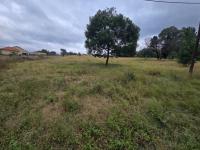  of property in Walkerville