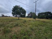  of property in Walkerville