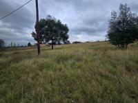  of property in Walkerville