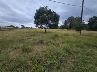  of property in Walkerville