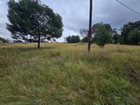  of property in Walkerville