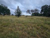  of property in Walkerville