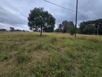  of property in Walkerville