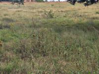  of property in Walkerville