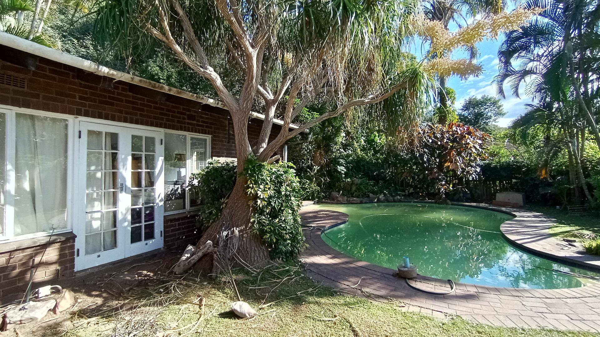 Backyard of property in Westville 