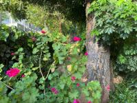  of property in Cyrildene