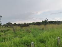  of property in Bendor