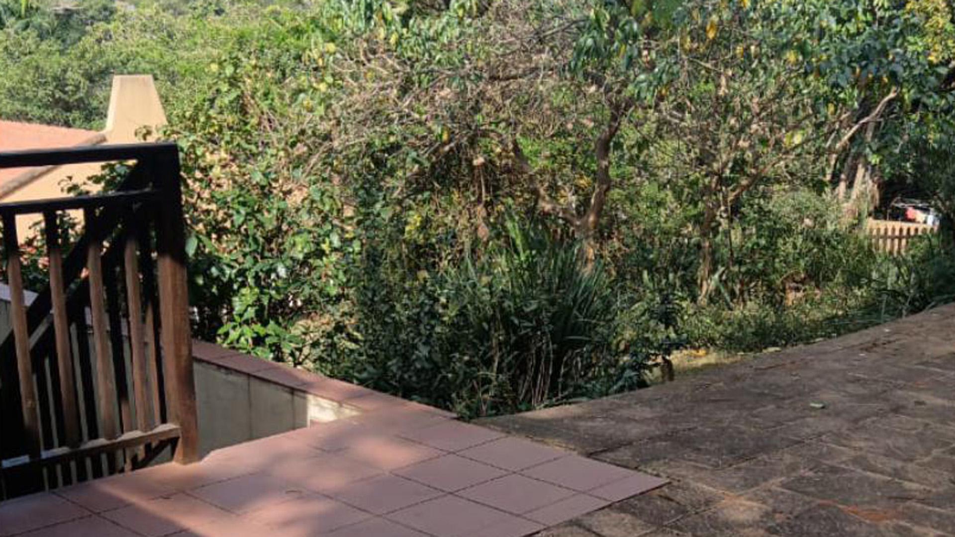 Backyard of property in Glen Hills