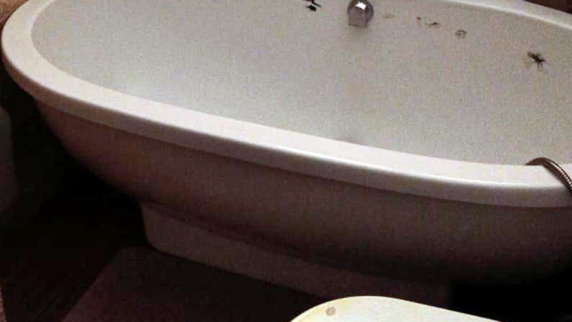 Bathroom 2 of property in Glen Hills