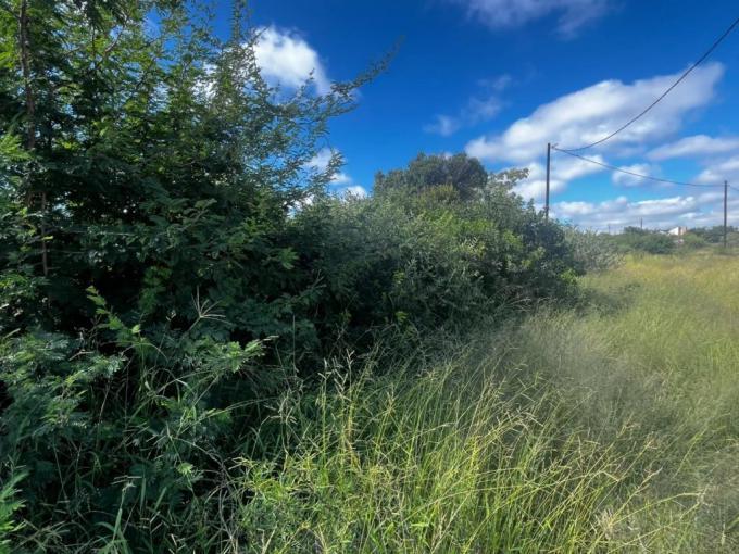 Land for Sale For Sale in Sterpark - MR602661