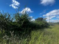  of property in Sterpark