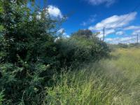  of property in Sterpark