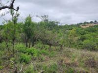  of property in Nelspruit Central