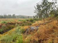 Land for Sale for sale in Magaliesburg