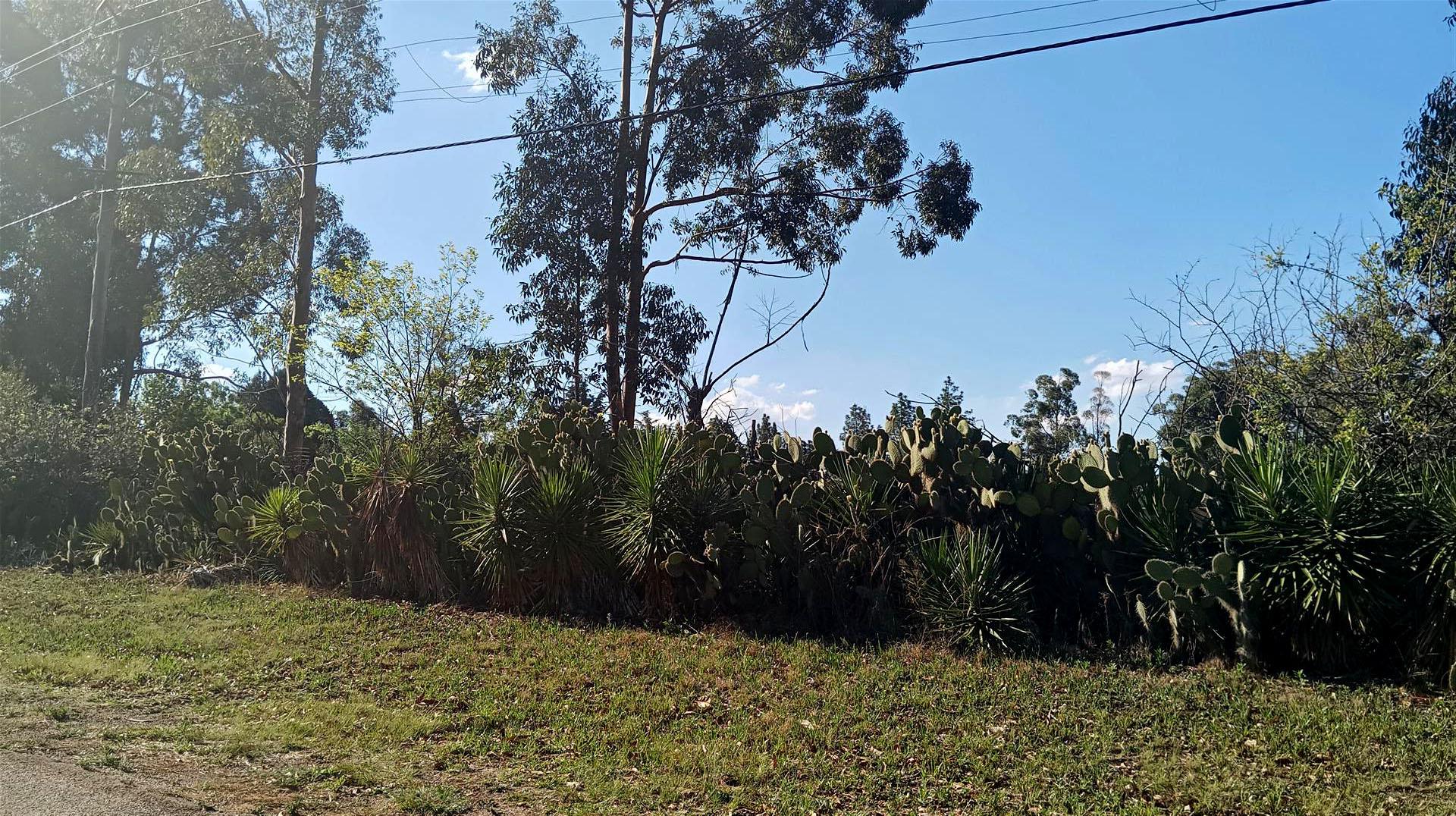 Front View of property in Homestead Apple Orchards AH