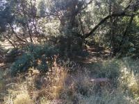  of property in Ohenimuri