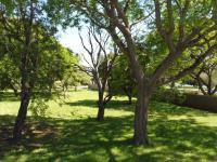  of property in Port Alfred