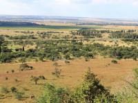 Land for Sale for sale in West Rand AH