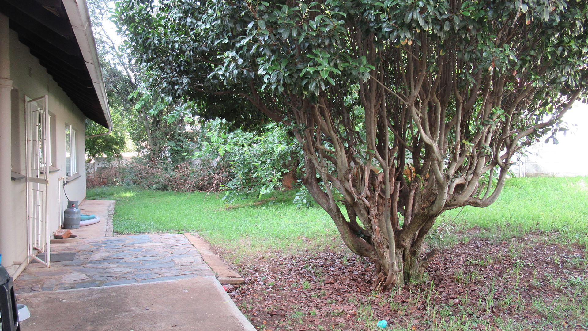 Backyard of property in Kensington B - JHB