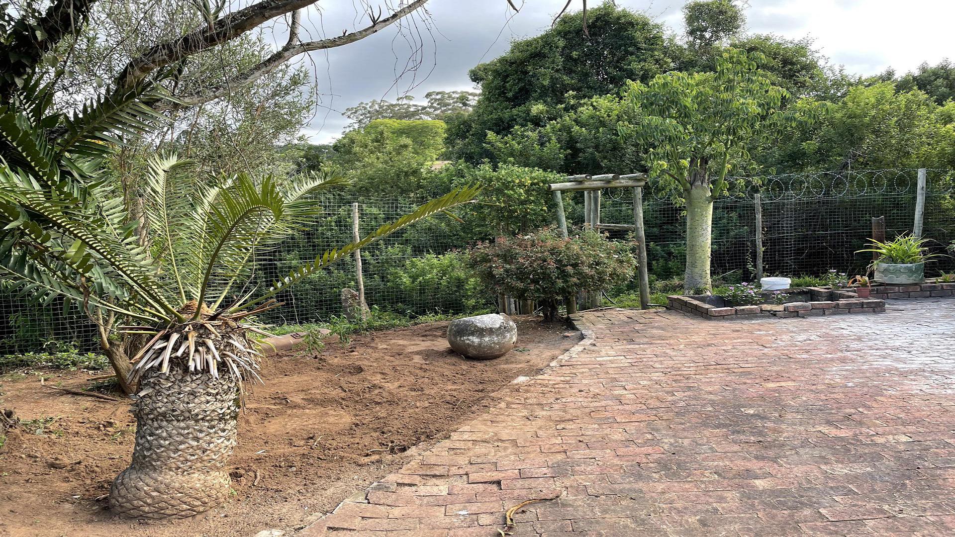 Garden of property in Grahamstown