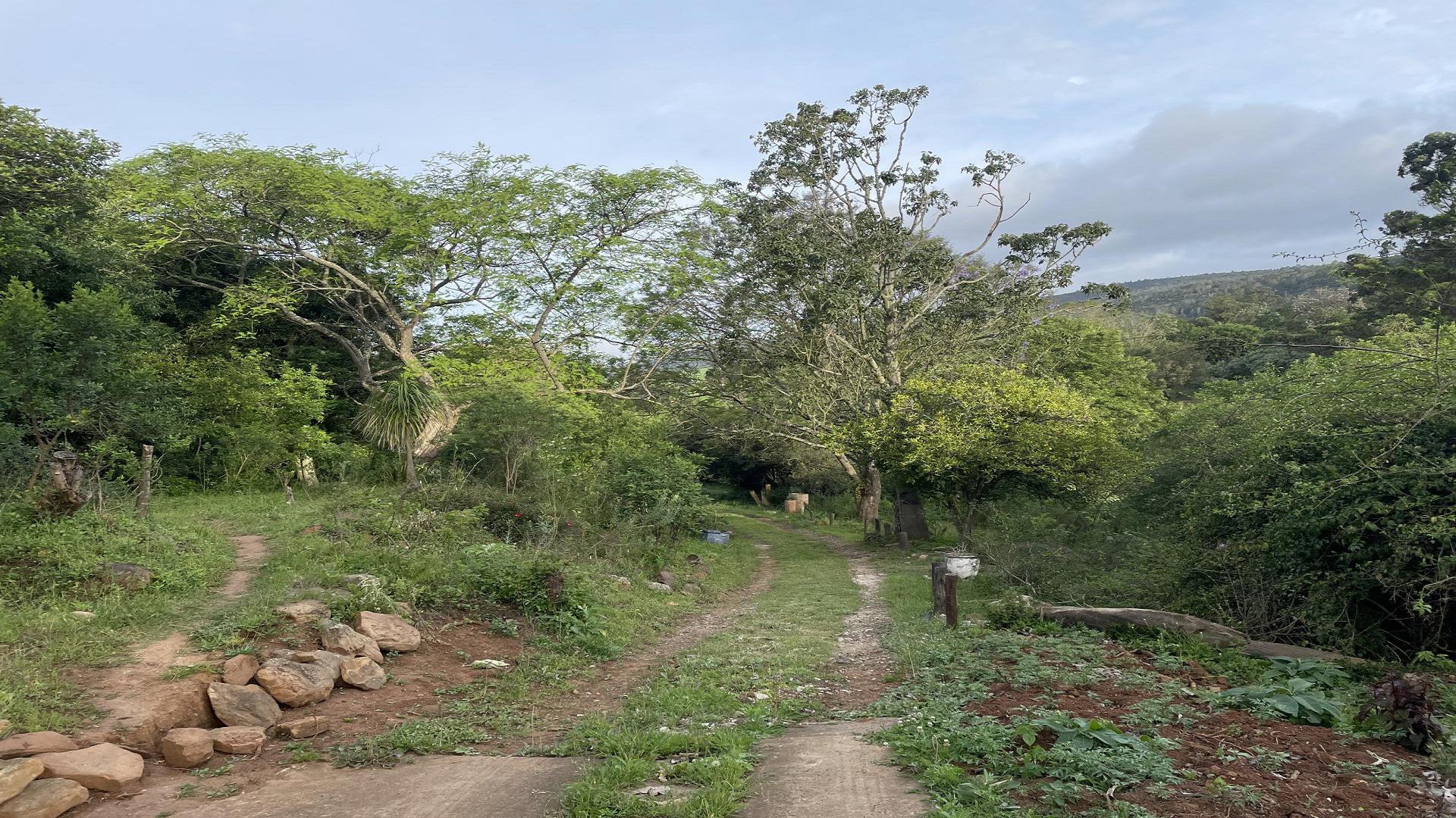 Garden of property in Grahamstown