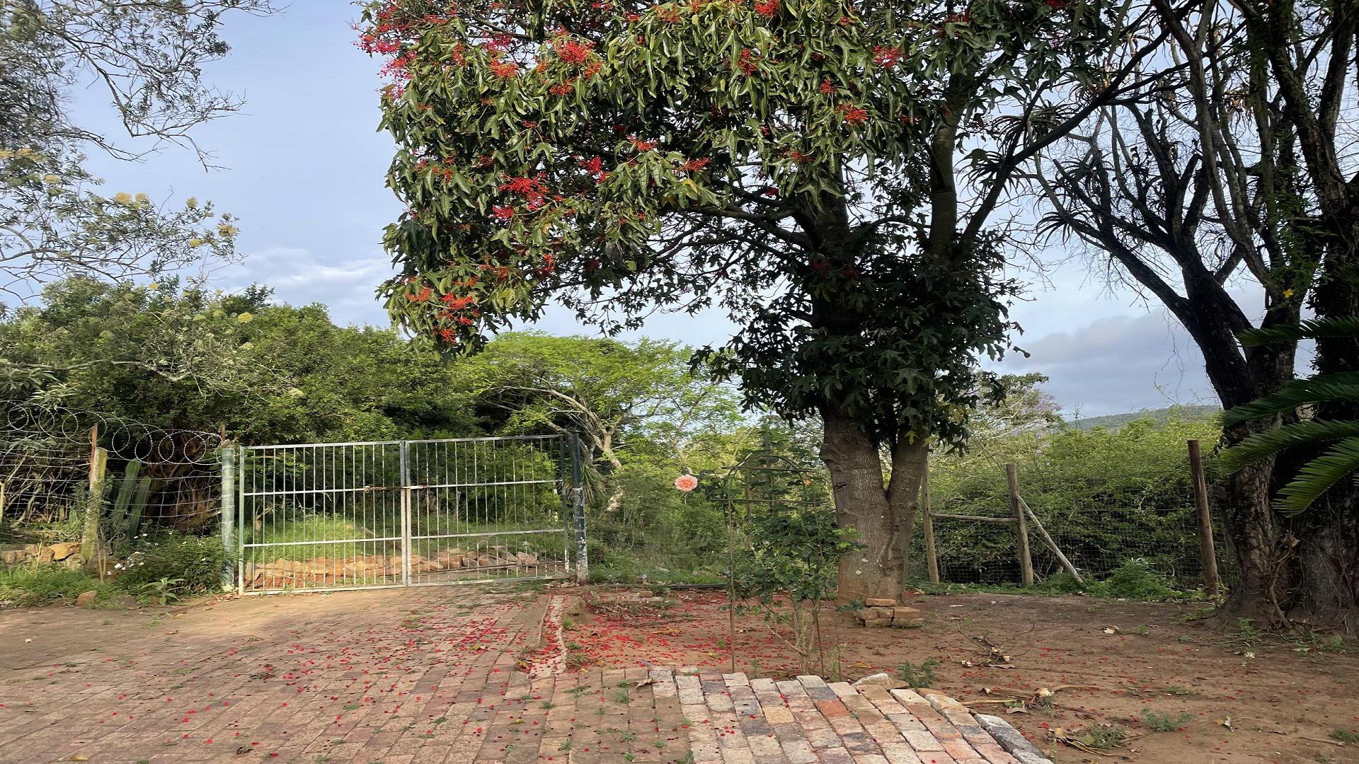 Backyard of property in Grahamstown