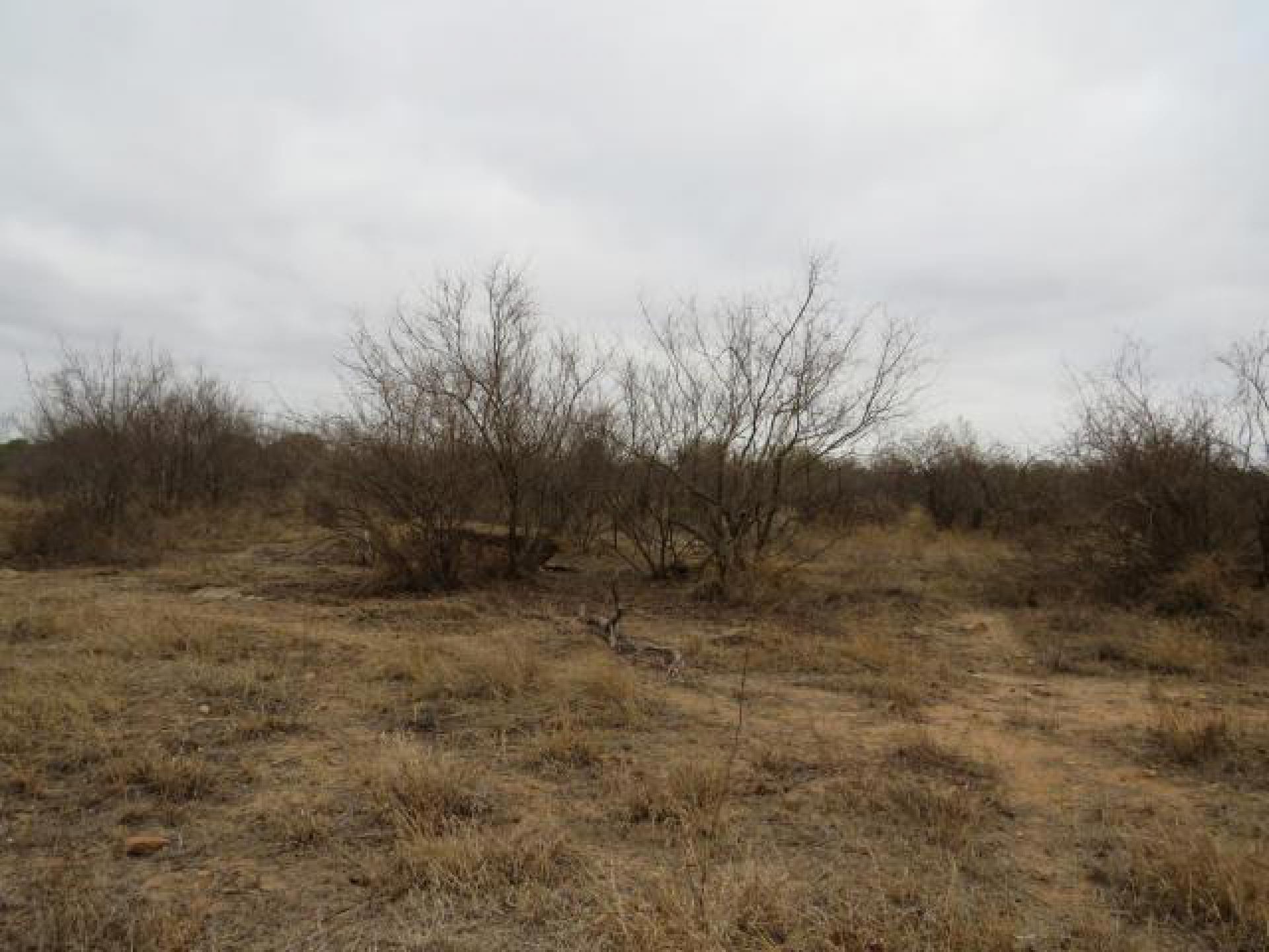 Front View of property in Lephalale (Ellisras)