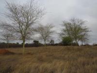 Front View of property in Lephalale (Ellisras)