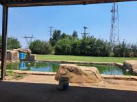 Smallholding for Sale for sale in Droogfontein AH