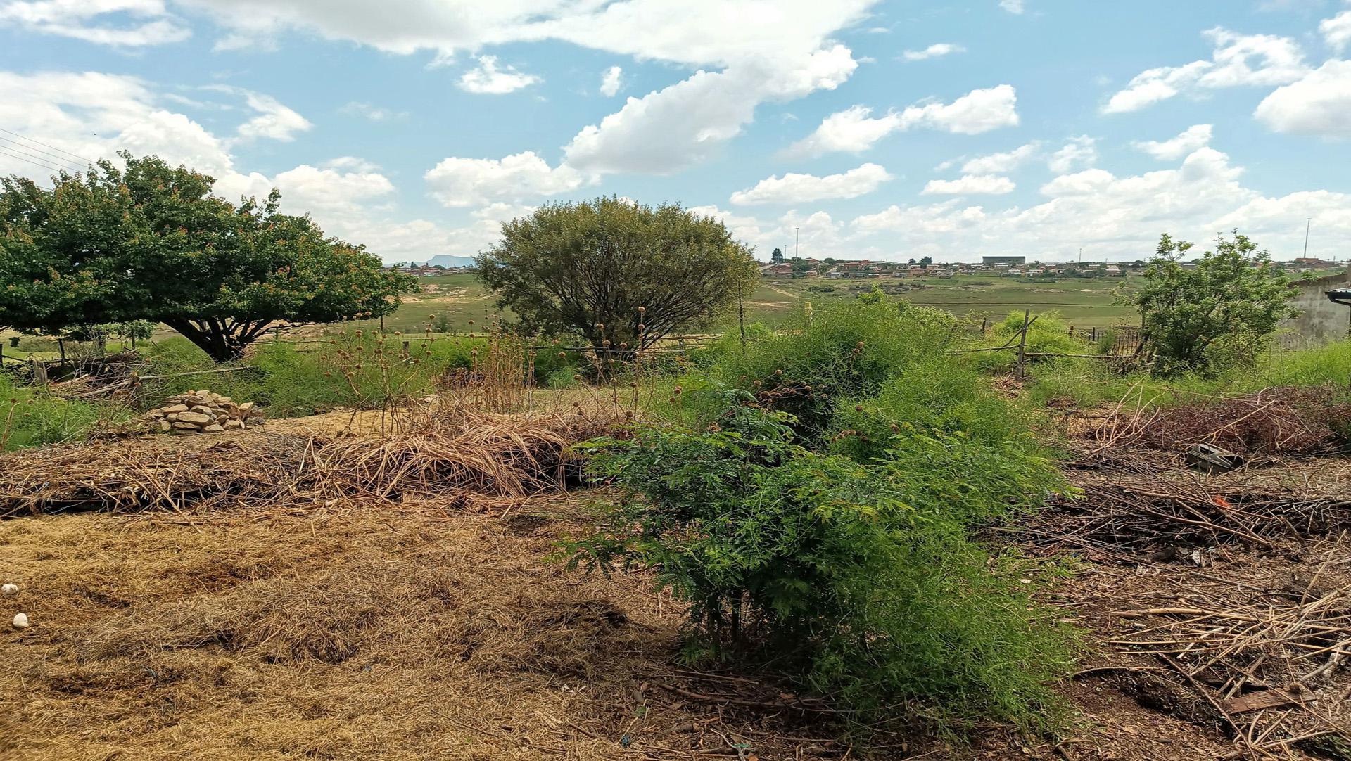 Front View of property in Fouriesburg