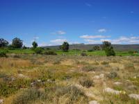Land for Sale for sale in Redelinghuys