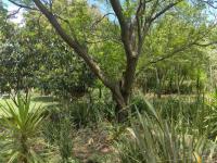 Farm for Sale for sale in Midrand
