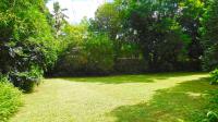 Backyard of property in Ferncliffe