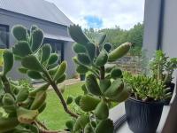  of property in Brackenridge Private Residential Estate
