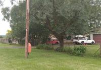 Front View of property in Colenso