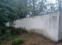 Front View of property in Buccleuch