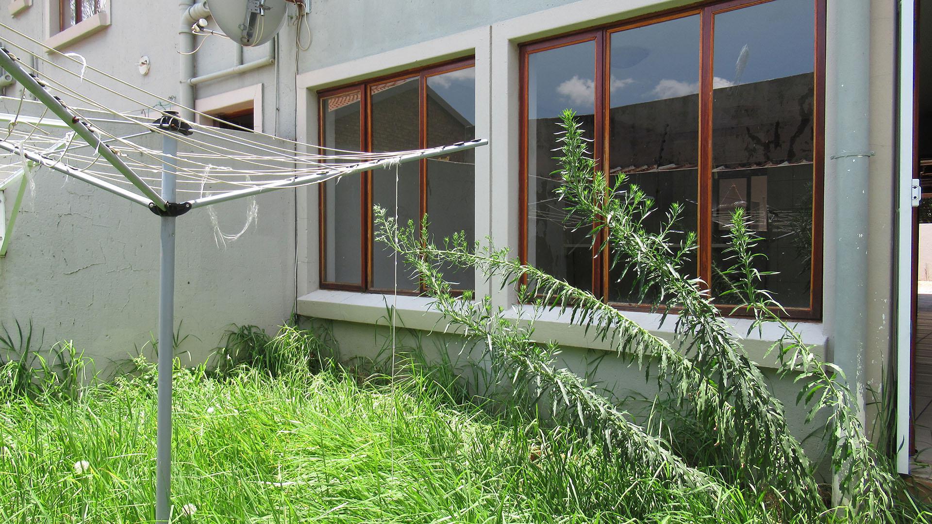 Backyard of property in Greenhills