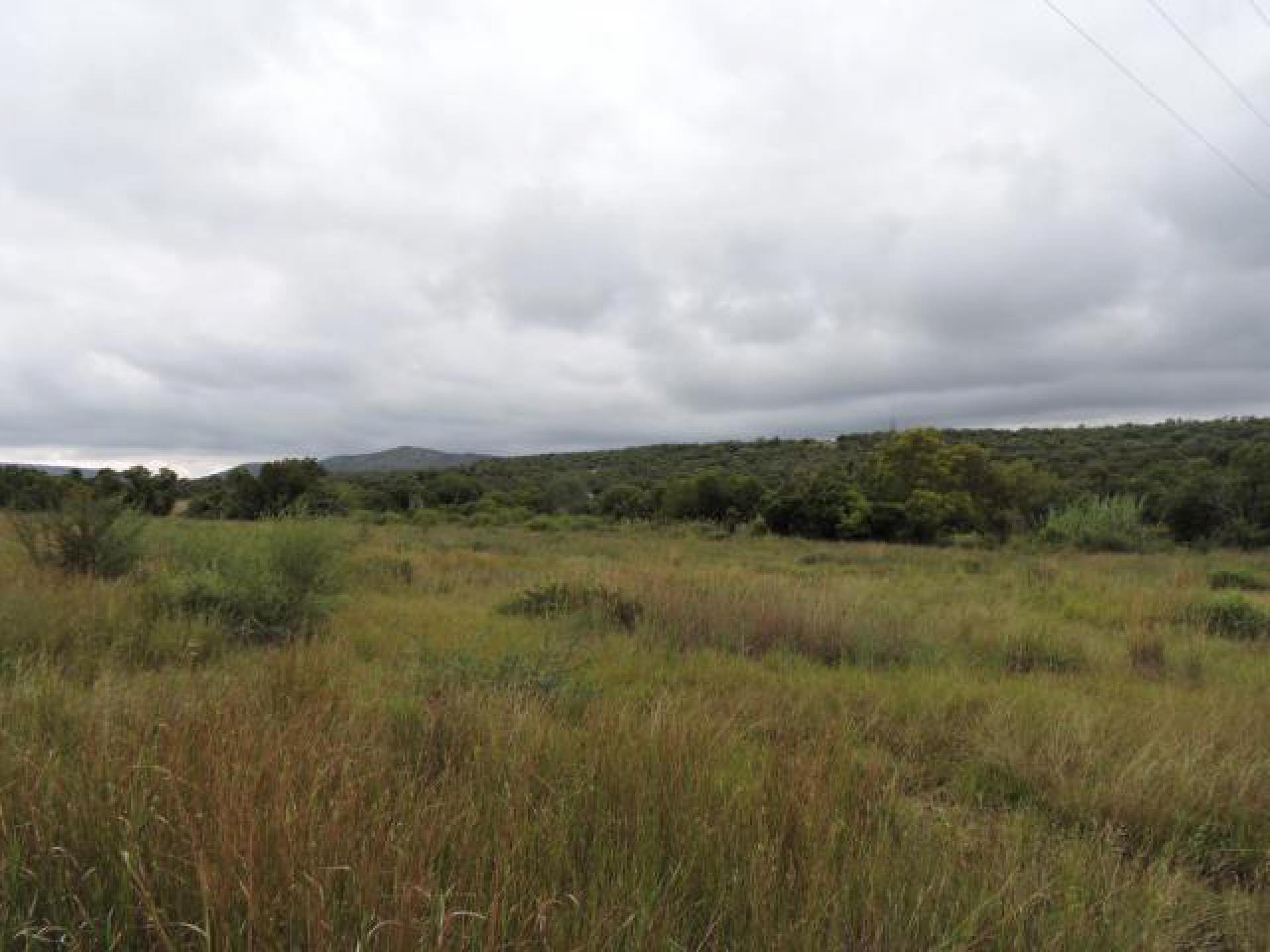 Spaces of property in Swartruggens