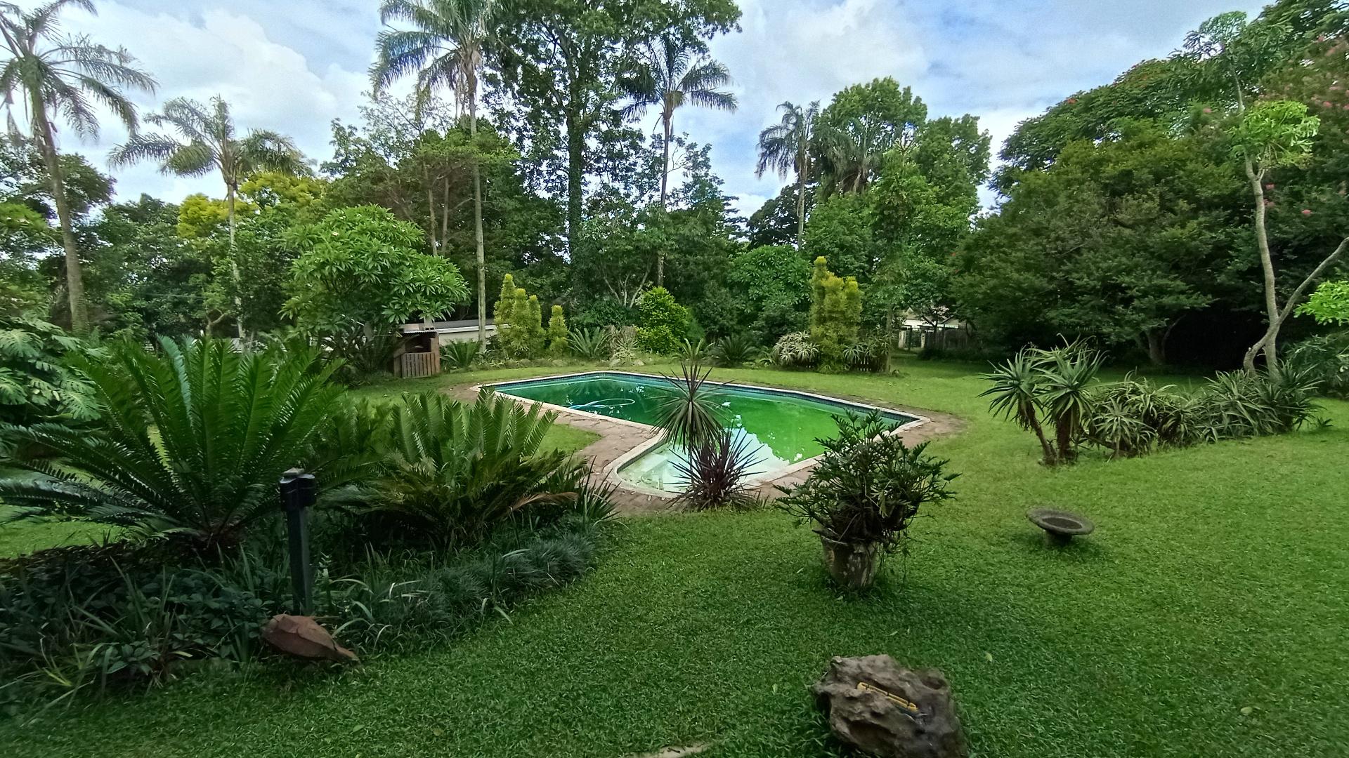 Backyard of property in Pietermaritzburg (KZN)