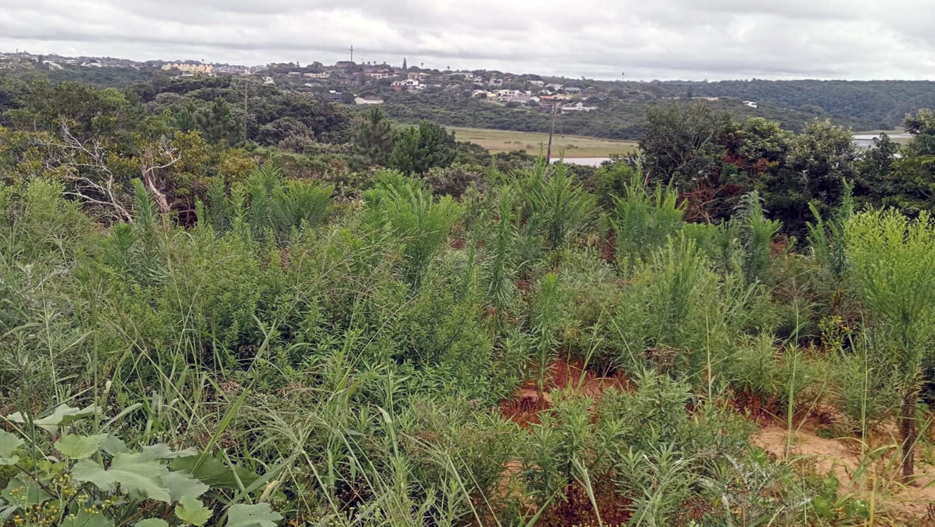 Spaces of property in Beacon Bay