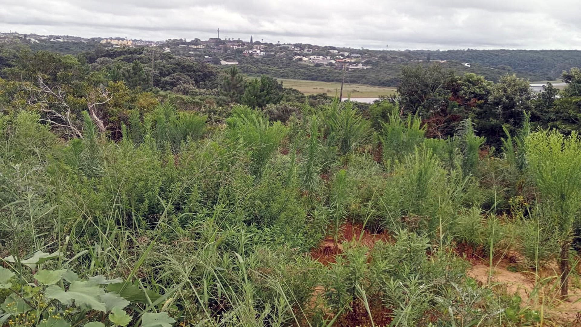 Spaces of property in Beacon Bay