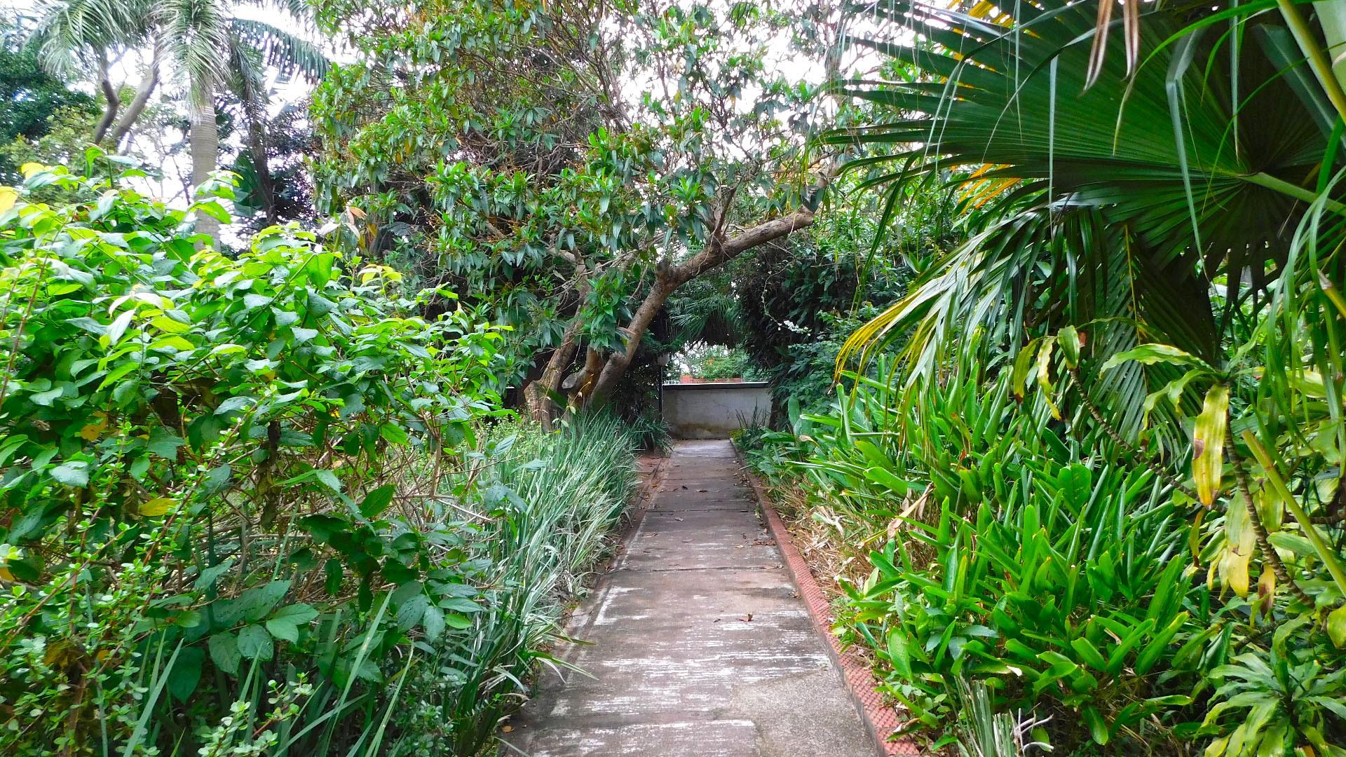 Garden of property in Cato Manor 