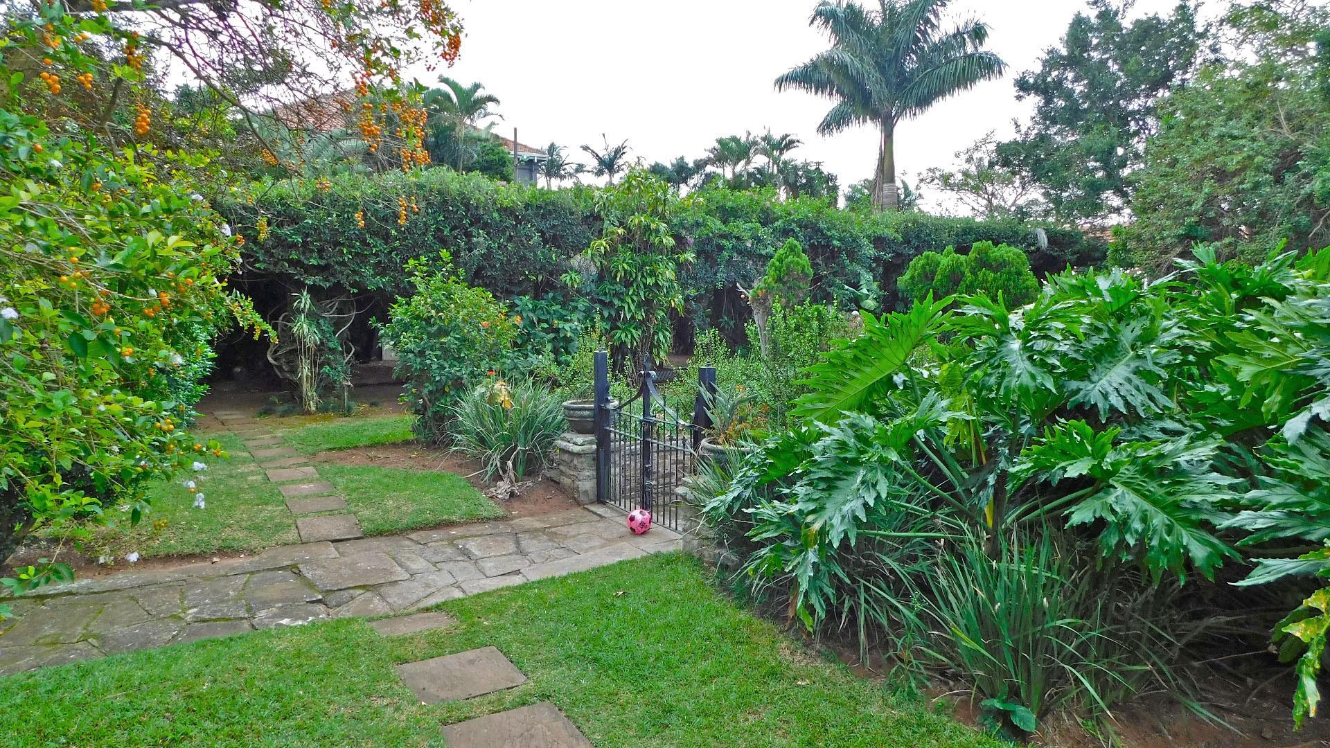 Garden of property in Cato Manor 