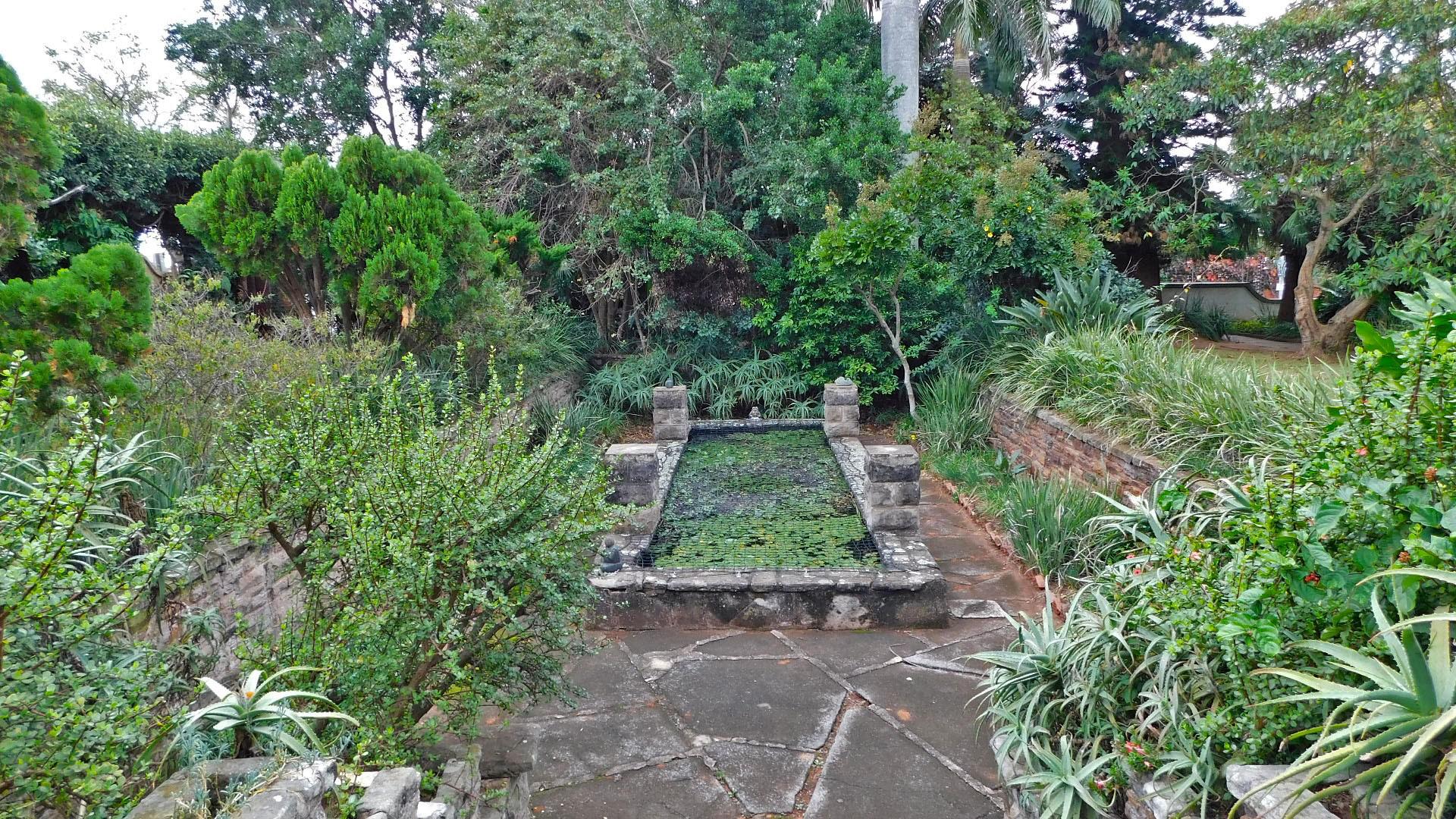 Garden of property in Cato Manor 