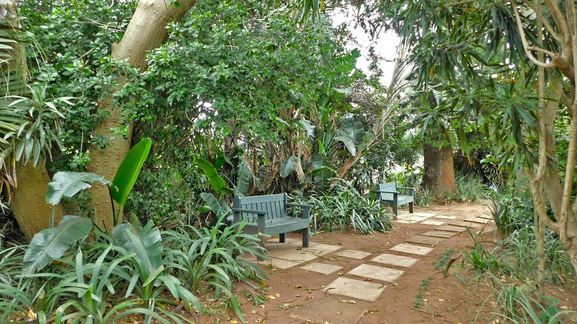 Garden of property in Cato Manor 