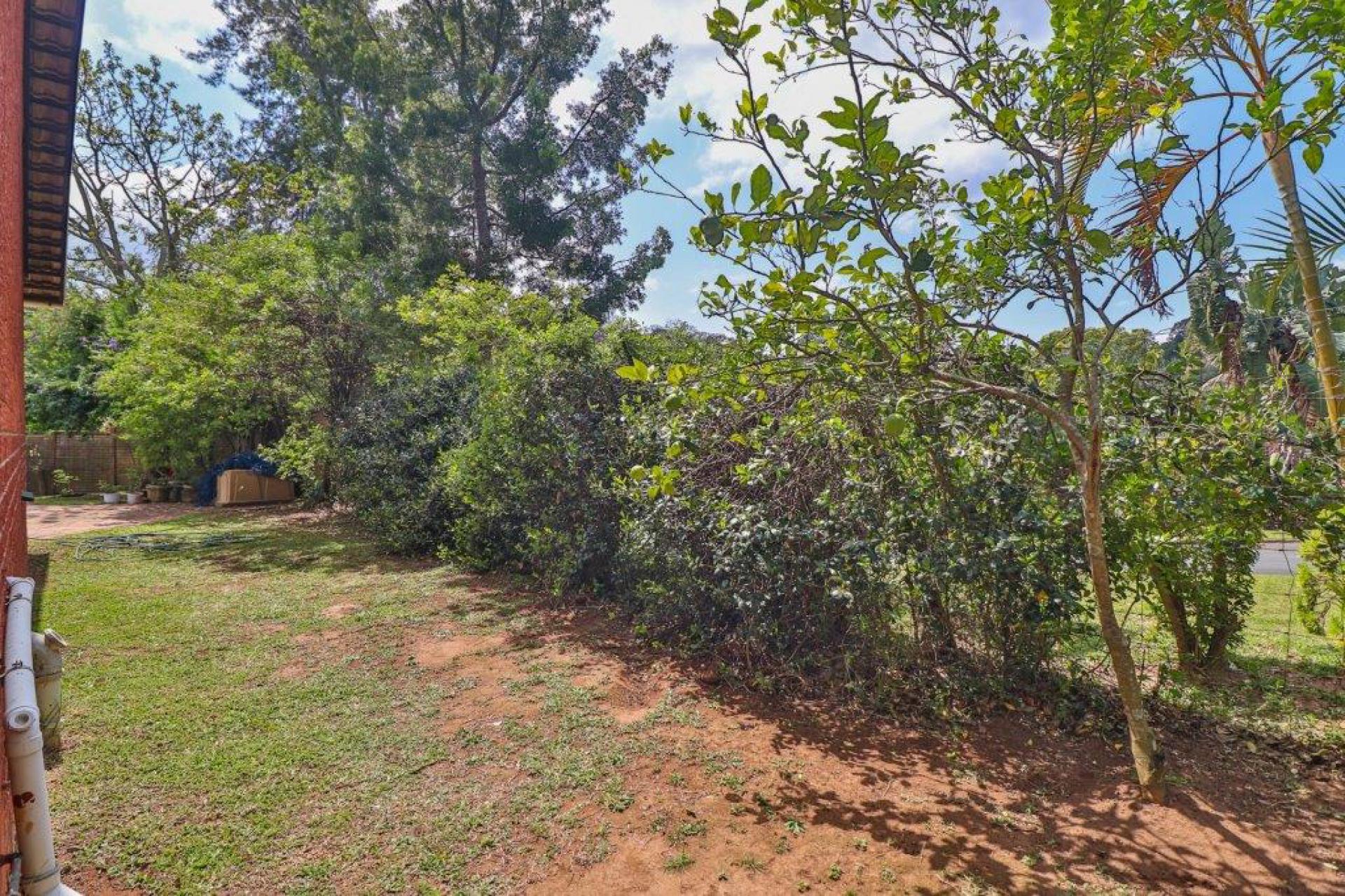 Backyard of property in New Germany 