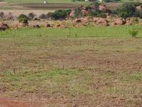 Farm for Sale for sale in Dullstroom