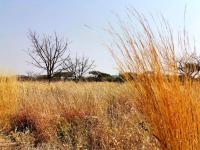 of property in Bendor